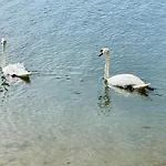 Moderne Am Rothsee Hilpoltstein
