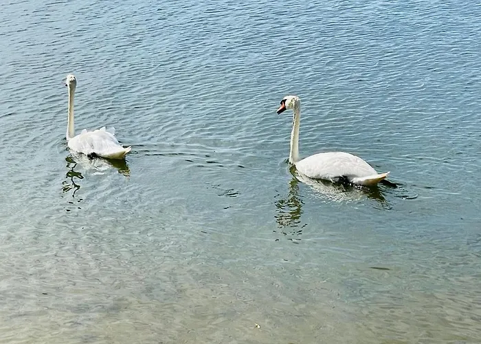 Moderne Am Rothsee Hilpoltstein