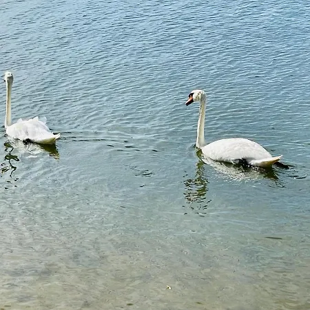 Moderne Am Rothsee Hilpoltstein